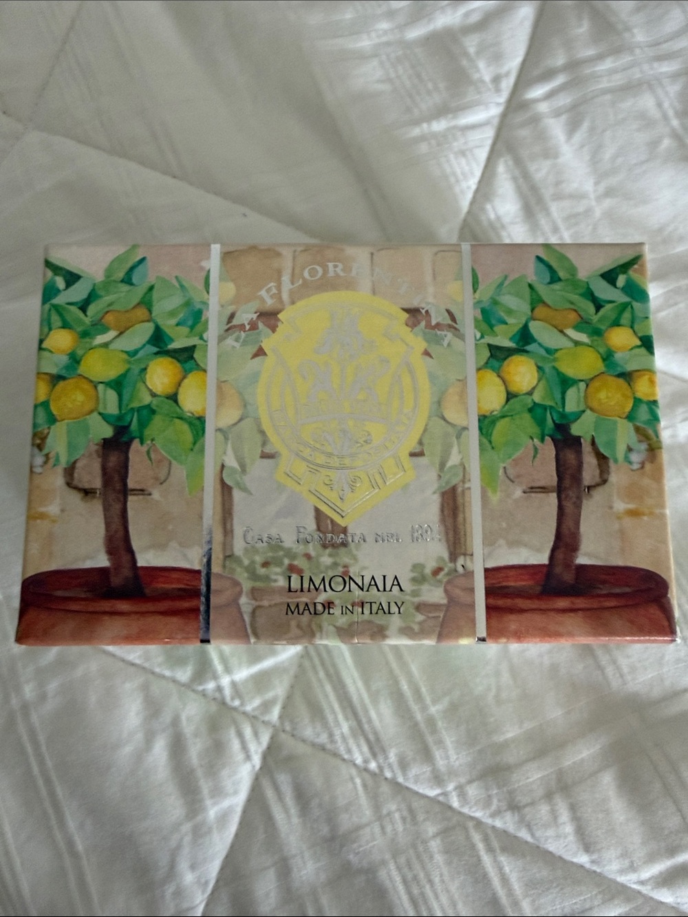 Lemon Soap Gift Set - White, Yellow, Green
